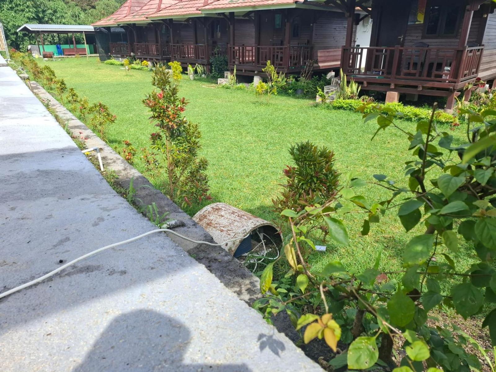 Bale Gantar Konuk evi Sembalunlawang Dış mekan fotoğraf