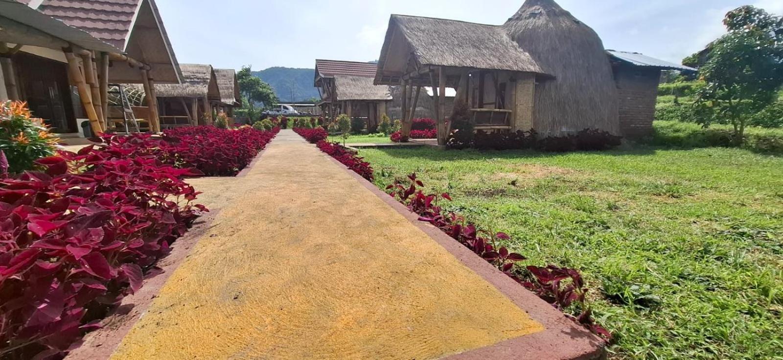 Bale Gantar Konuk evi Sembalunlawang Dış mekan fotoğraf