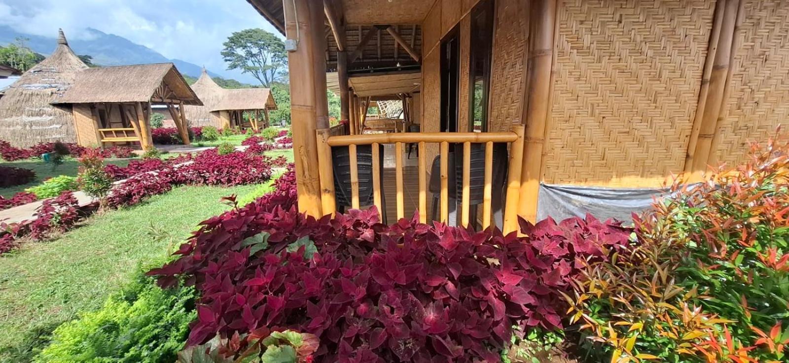 Bale Gantar Konuk evi Sembalunlawang Dış mekan fotoğraf